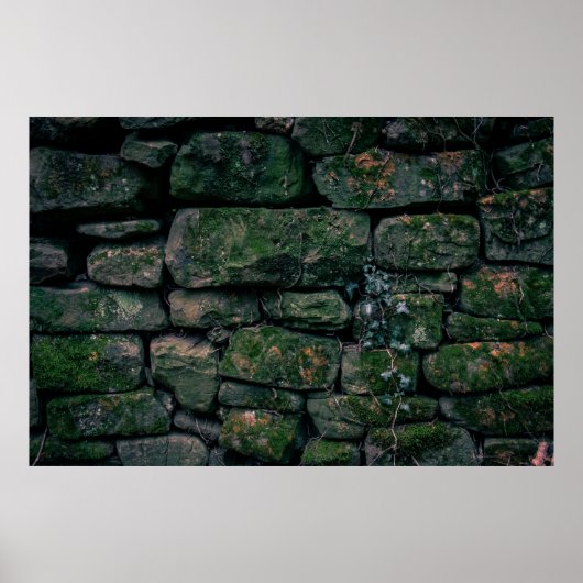 Braune Reben auf gestapelten Steinblöcken Poster (Vorne)