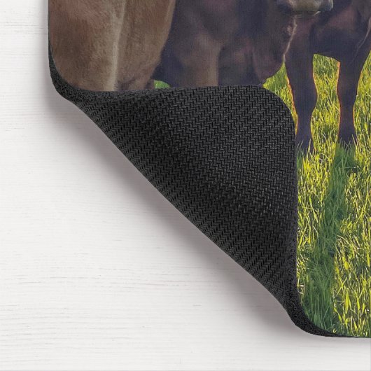 Braune Rinder in Weiden Mousepad (Ecke)