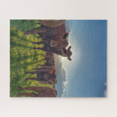 Braune Rinder in Weiden Puzzle (Horizontal)