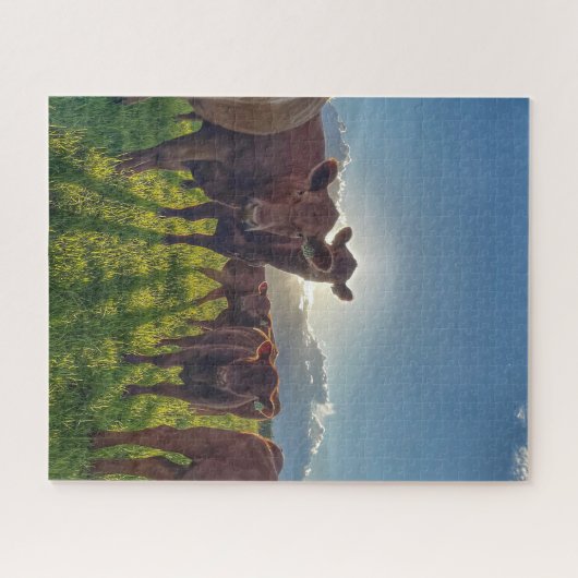 Braune Rinder in Weiden Puzzle (Horizontal)