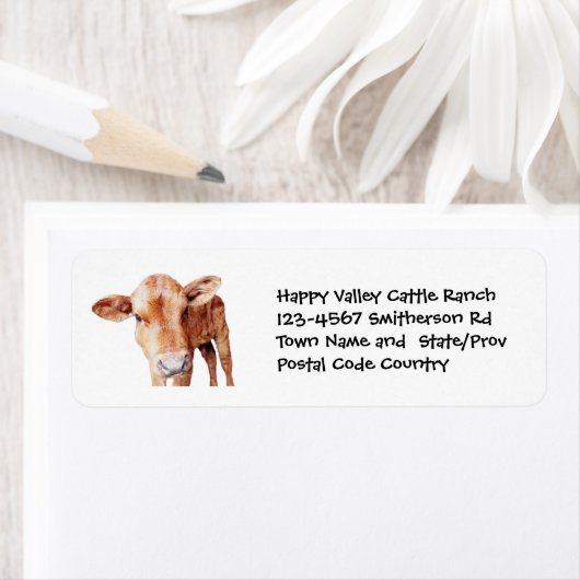 Braune Rinderzucht oder Rangliste (Insitu)