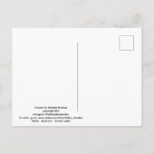 Braune Schmetterlinge Postkarte (Rückseite)