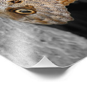 Braune Schmetterlingsfarbe 8x10 Fotodruck (Ecke)