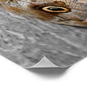 Braune Schmetterlingsfarbe Poster (Ecke)