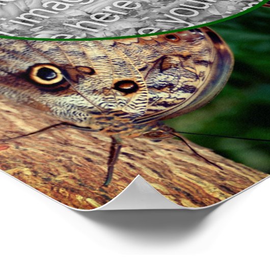 Braune Schmetterlingsrahmen schaffen Ihr eigenes F Poster (Ecke)