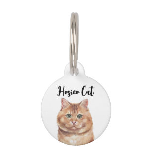 Braune süße Hosico-Katze Haustiermarke