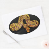 Braune und goldene Ball Python Ovaler Aufkleber (Umschlag)