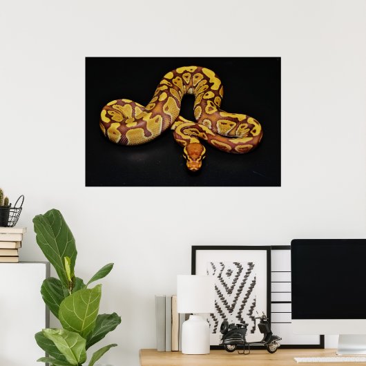 Braune und goldene Ball Python Poster (Heimbüro)