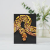 Braune und goldene Ball Python Postkarte (Stehend Vorderseite)