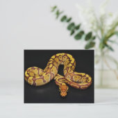 Braune und goldene Ball Python Postkarte (Stehend Vorderseite)