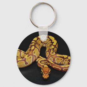Braune und goldene Ball Python Schlüsselanhänger