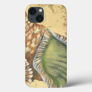 Braune und grüne Seashell Case-Mate iPhone Hülle