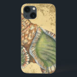 Braune und grüne Seashell Case-Mate iPhone Hülle<br><div class="desc">Wenn Sie heute nicht an den Strand kommen,  sollten Sie sich dieses klassische Bild dieses einzigartigen,  grünen und braunen Muschels von heute besorgen! Dieser Muschel am Ozean ist von warmem Sand in diesem Bild umrahmt und würde bei allen nautischen Produkten großartig sein.</div>