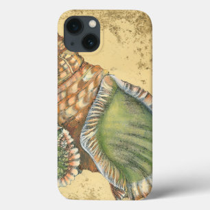 Braune und grüne Seashell Case-Mate iPhone Hülle