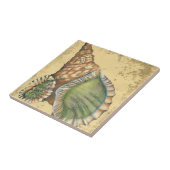 Braune und grüne Seashell Fliese (Seite)