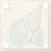 Braune und grüne Seashell Glasuntersetzer (Rückseite)