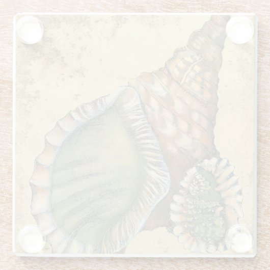 Braune und grüne Seashell Glasuntersetzer (Rückseite)