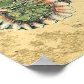 Braune und grüne Seashell Poster (Ecke)