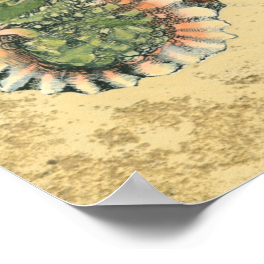 Braune und grüne Seashell Poster (Ecke)