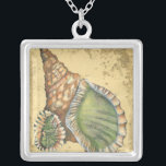 Braune und grüne Seashell Versilberte Kette<br><div class="desc">Wenn Sie heute nicht an den Strand kommen,  sollten Sie sich dieses klassische Bild dieses einzigartigen,  grünen und braunen Muschels von heute besorgen! Dieser Muschel am Ozean ist von warmem Sand in diesem Bild umrahmt und würde bei allen nautischen Produkten großartig sein.</div>
