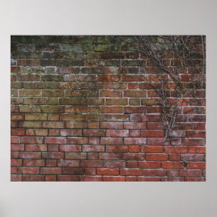 Braune und schwarze Holzpappe Poster