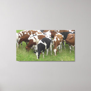 Braune und schwarze Milchkühe Wrapped Canvas Kunst Leinwanddruck