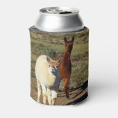 braune und weiße Alpacas, Dosenkühler (Kanne Rückseite)