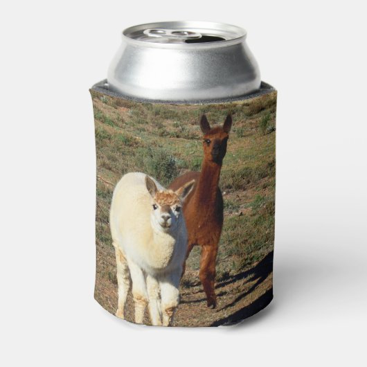 braune und weiße Alpacas, Dosenkühler (Kanne Rückseite)