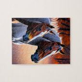 Braune und weiße Brüstpferde, Jigsaw Puzzle (Horizontal)