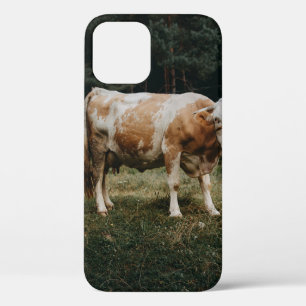 BRAUNE UND WEISSE GEKETTETE KUH Case-Mate iPhone HÜLLE