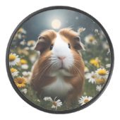 Braune und weiße Guinea Schweinemond und Milchprod Eishockey Puck (Vorderseite)