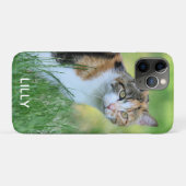 Braune und weiße Katze Case-Mate iPhone Hülle (Rückseite (Horizontal))
