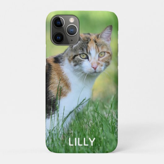 Braune und weiße Katze Case-Mate iPhone Hülle (Rückseite)