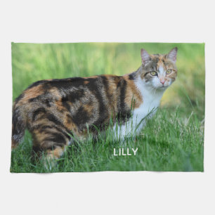 Braune und weiße Katze Geschirrtuch