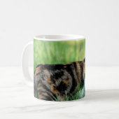 Braune und weiße Katze Kaffeetasse (Vorderseite Links)