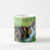Braune und weiße Katze Kaffeetasse (Mittel)