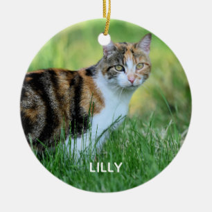 Braune und weiße Katze Keramik Ornament