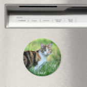 Braune und weiße Katze Magnet (In Situ (Geschirrspüler))