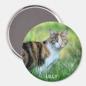 Braune und weiße Katze Magnet (Vorderseite/Rückseite)