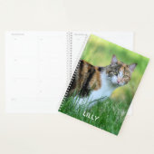 Braune und weiße Katze Planer (Anzeige)