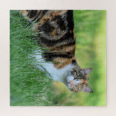 Braune und weiße Katze Puzzle (Horizontal)