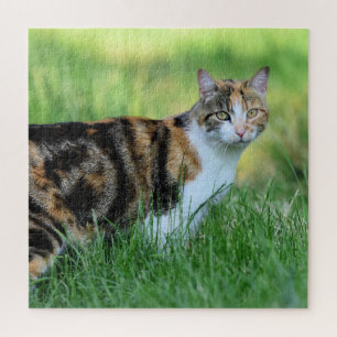 Braune und weiße Katze Puzzle