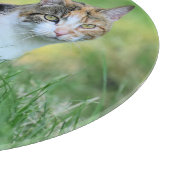 Braune und weiße Katze Schneidebrett (Ecke)
