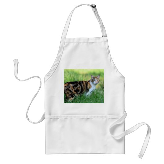 Braune und weiße Katze Schürze (Vorne)