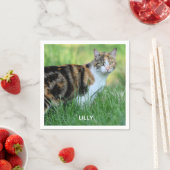 Braune und weiße Katze Serviette (Beispiel)
