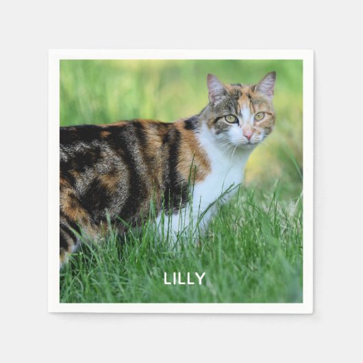 Braune und weiße Katze Serviette (Vorderseite)