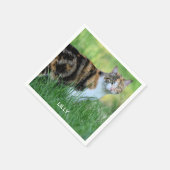 Braune und weiße Katze Serviette (Ecke)