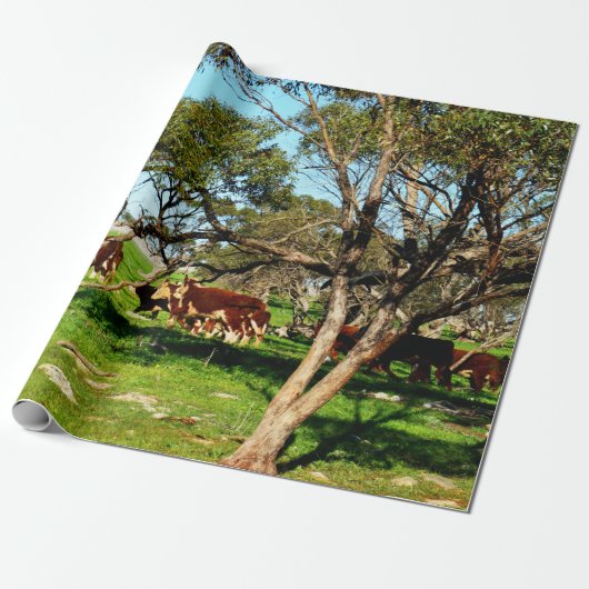braune und weiße Kühe im Sortiment, Geschenkpapier (Ungerollt)