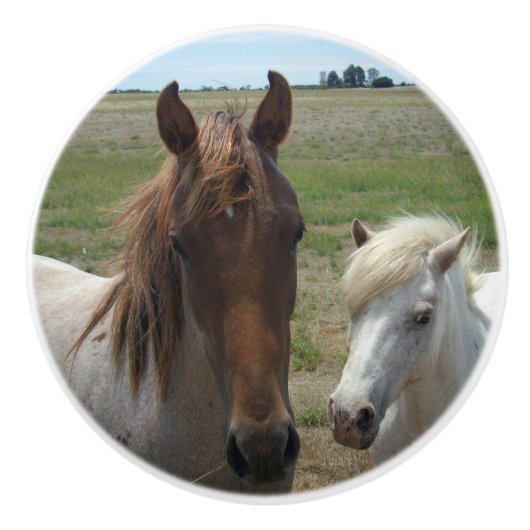 braune und weiße Ponys, Keramikknauf (Vorderseite)