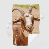 Braune und weiße Ziege Golfhandtuch (Insitu)